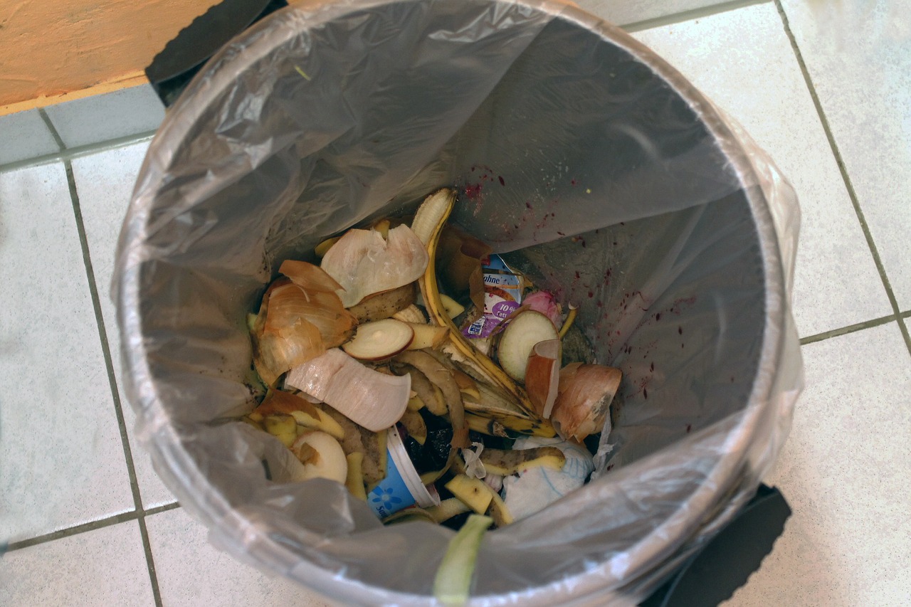 garbage can household waste waste free photo