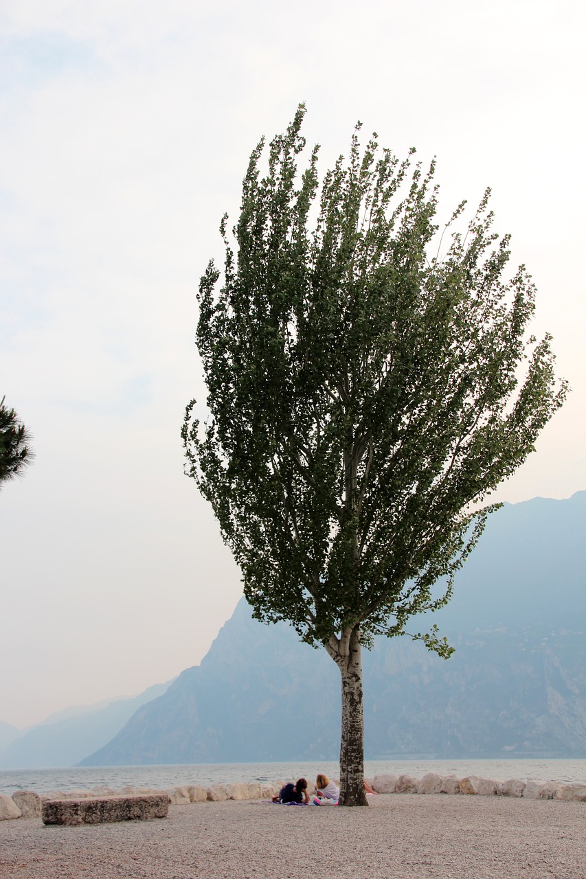 garda italy lake free photo