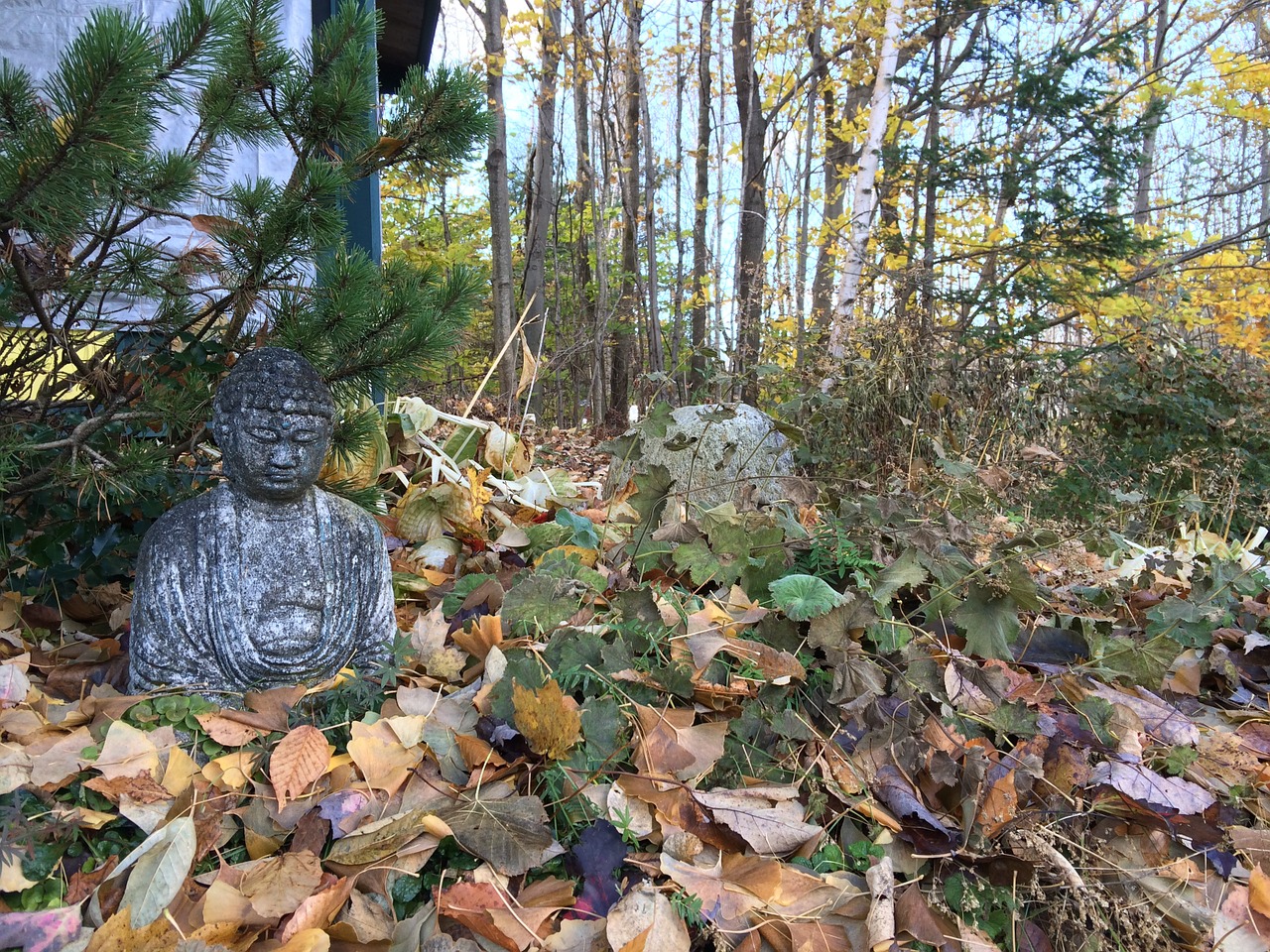 garden statue buddha free photo