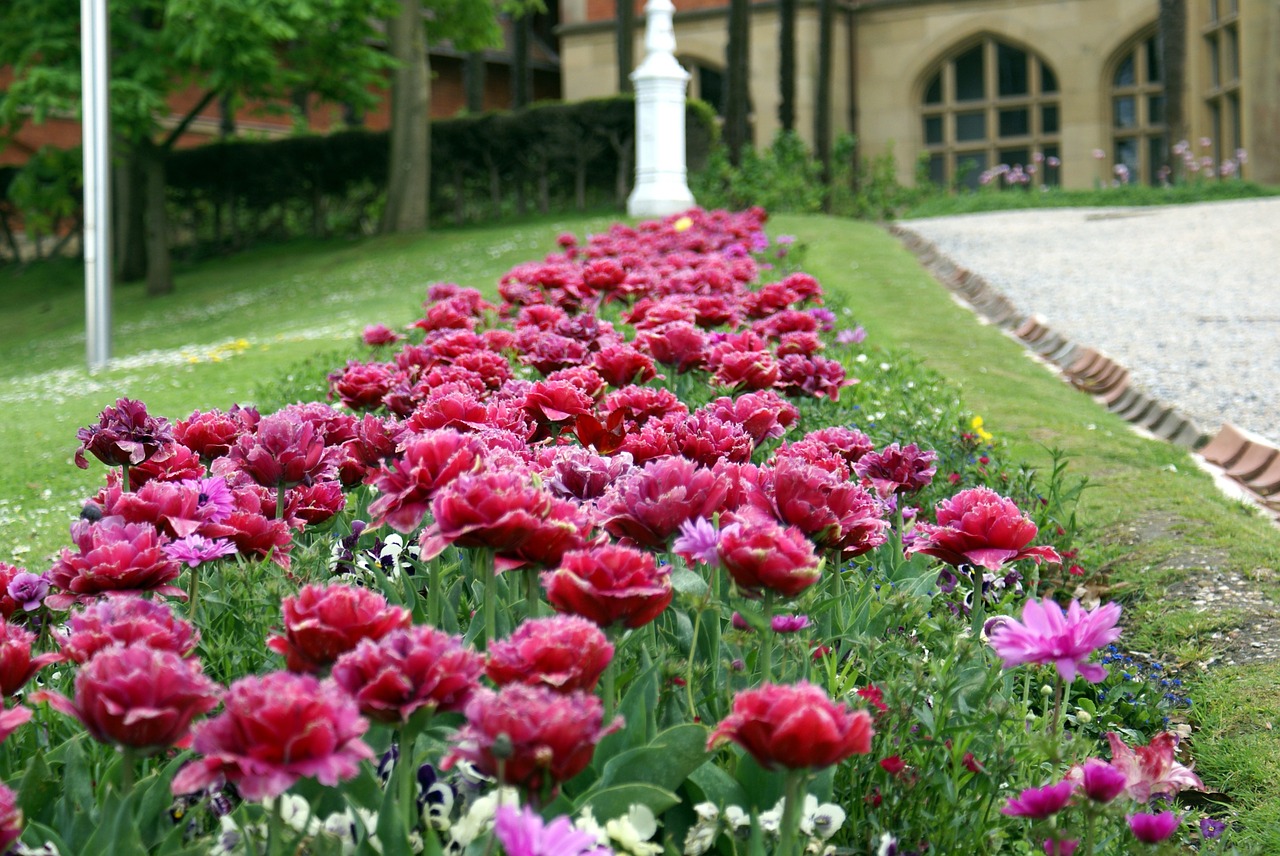 garden flowers spring free photo