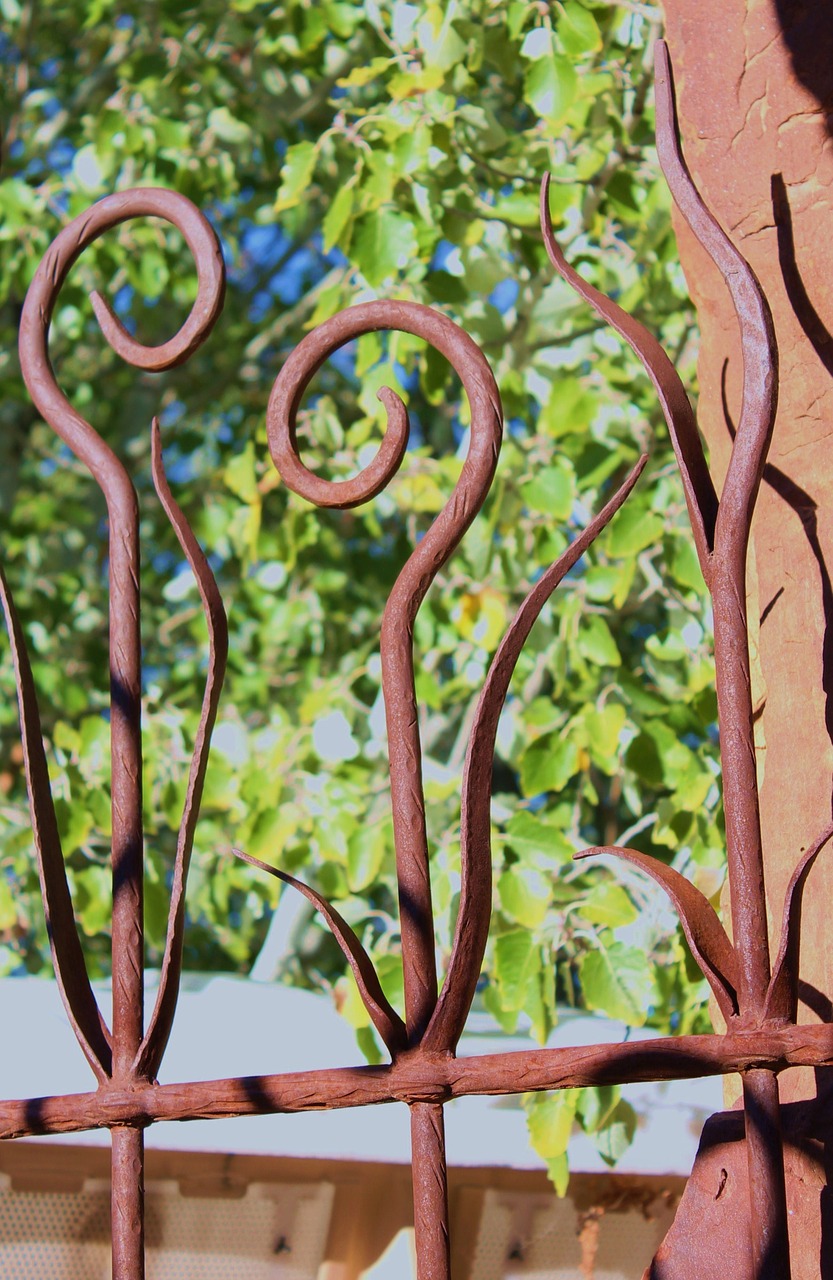 garden new mexico design free photo