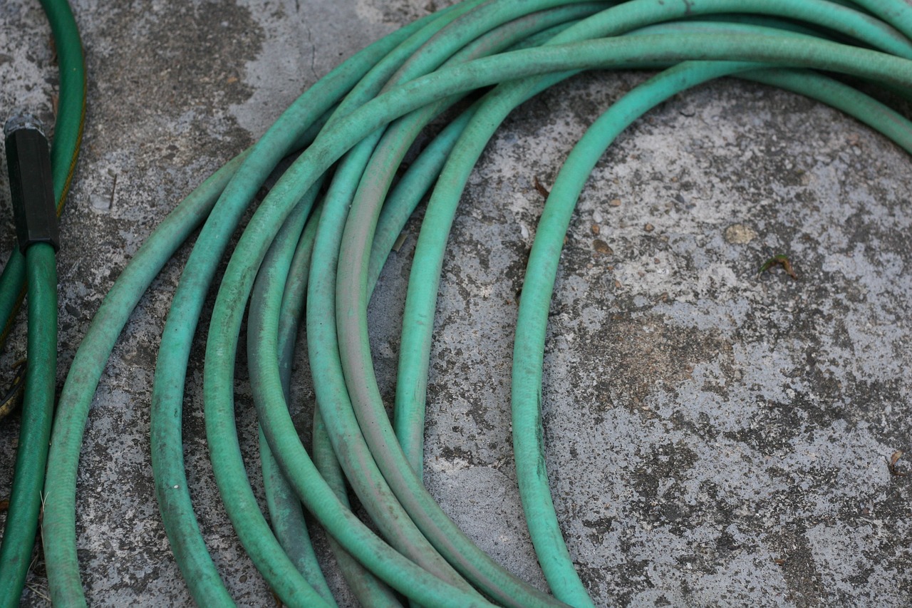 garden hose green free photo