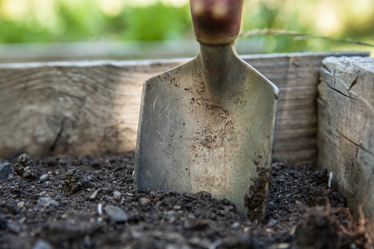 garden spade soil free photo