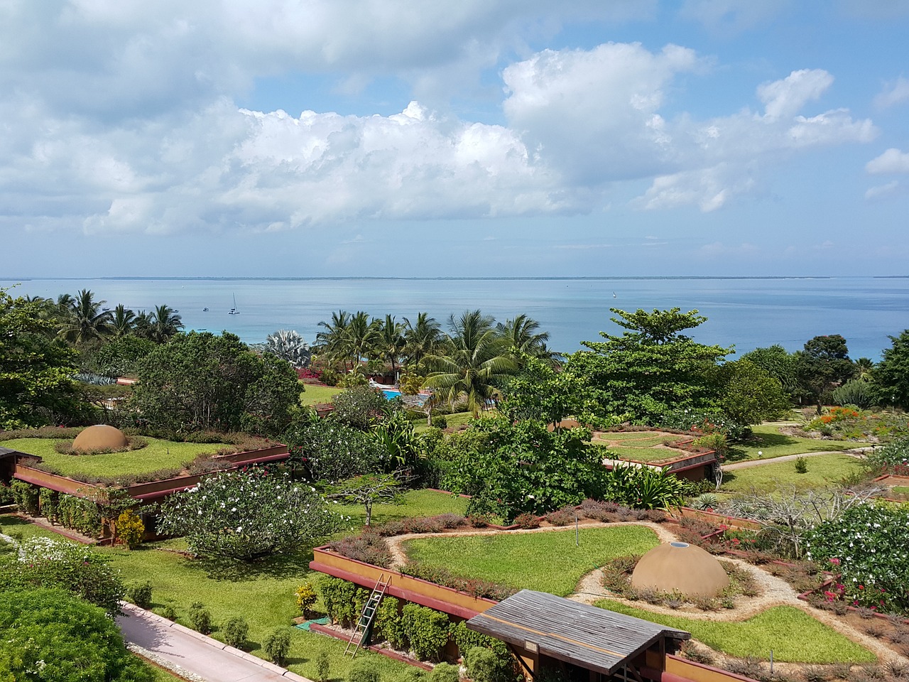 garden palm trees zanzibar free photo