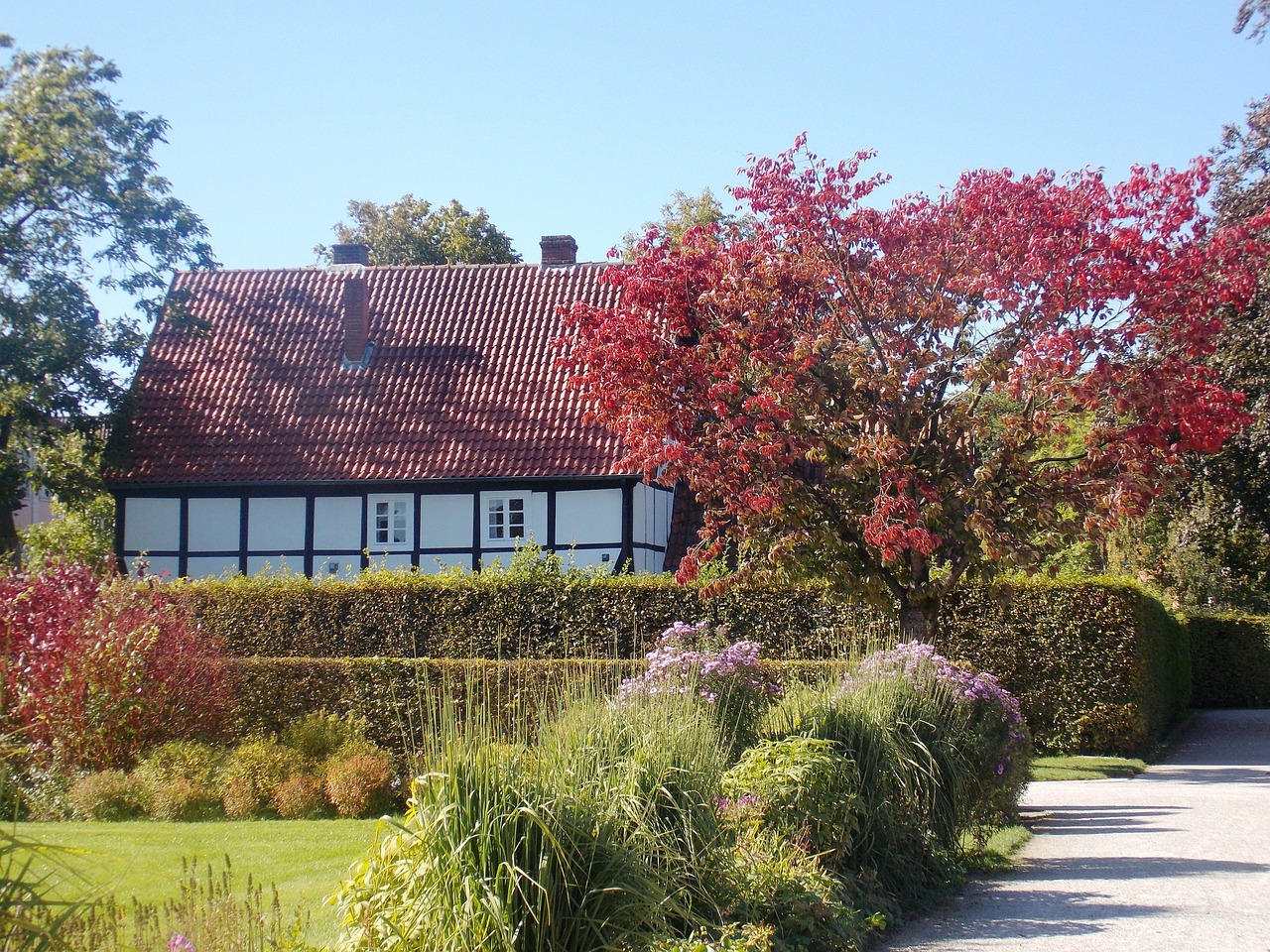 garden gütersloh plant free photo