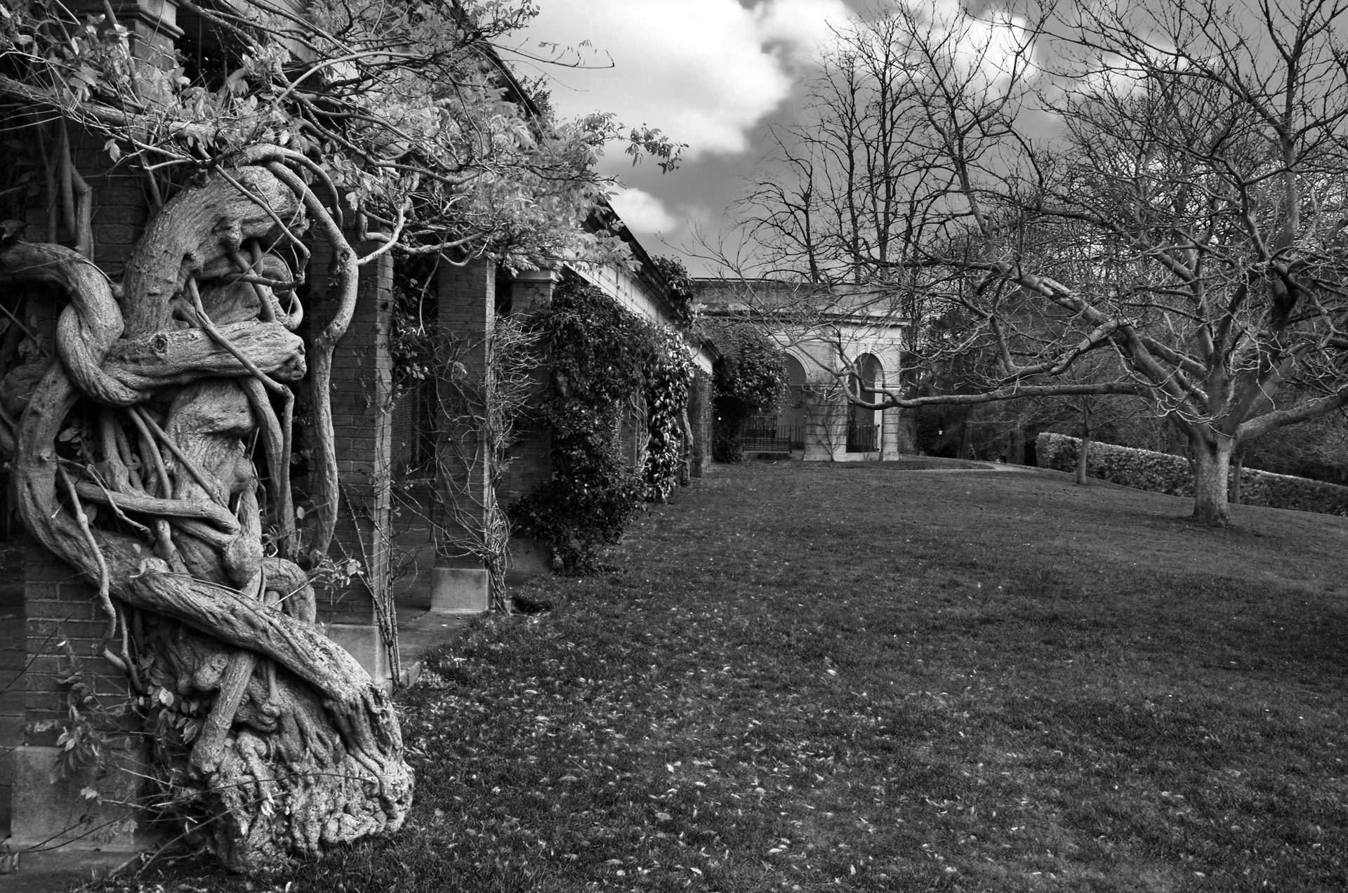 garden architecture tree free photo