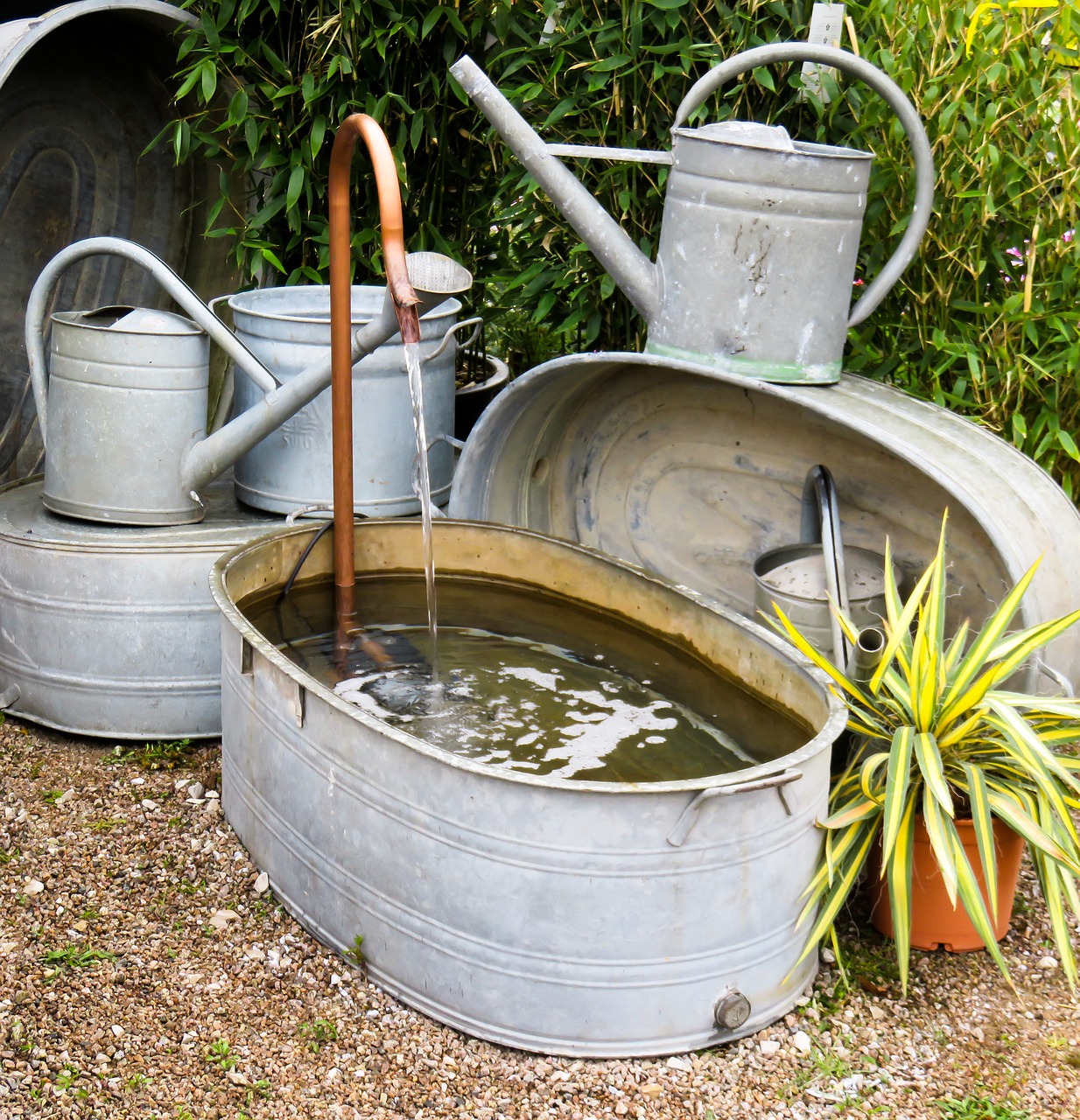 garden bath watering can free photo