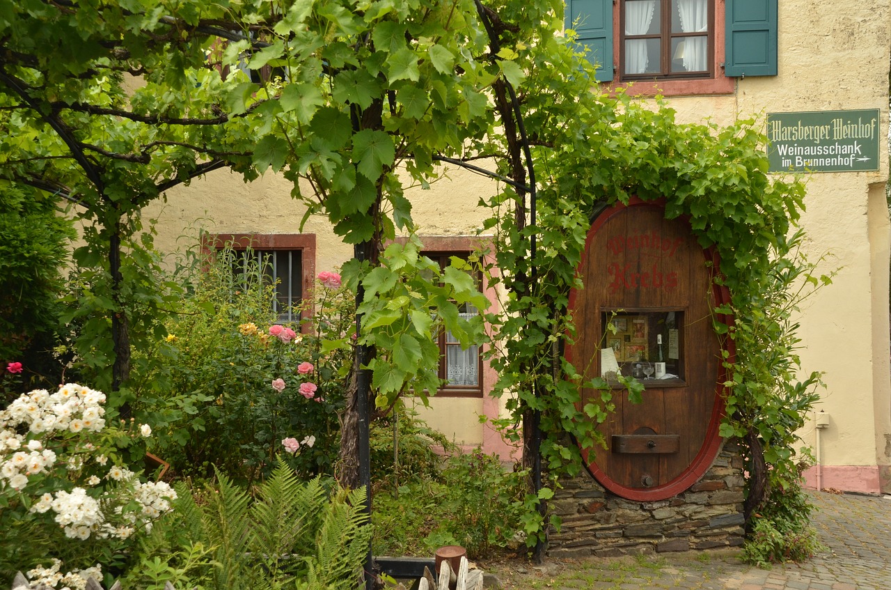 garden grape barrel free photo