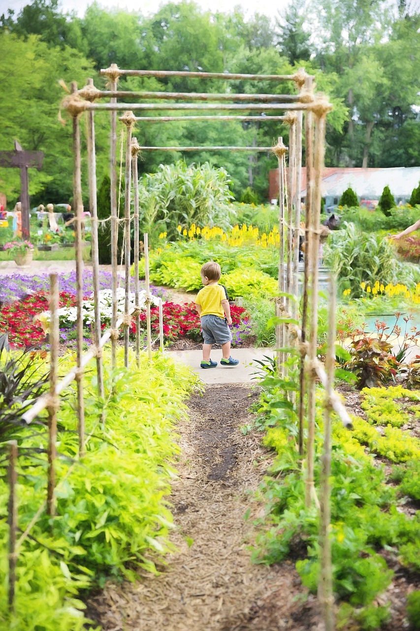 garden arbor green free photo