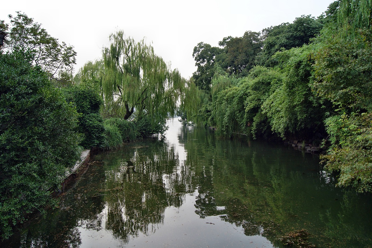 garden pond water free photo