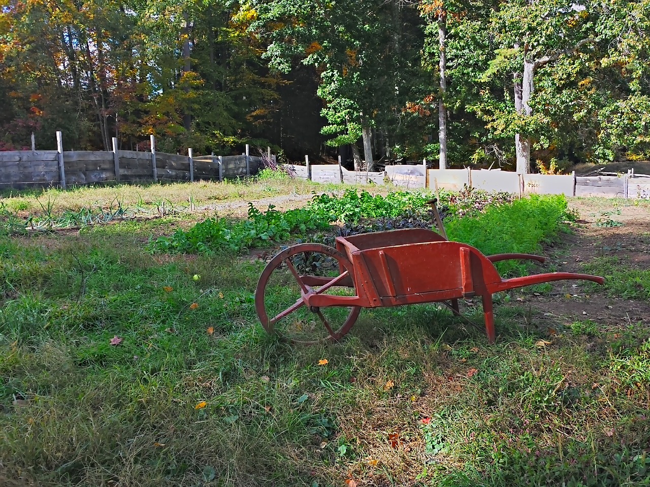 garden wheelbarrow farm free photo