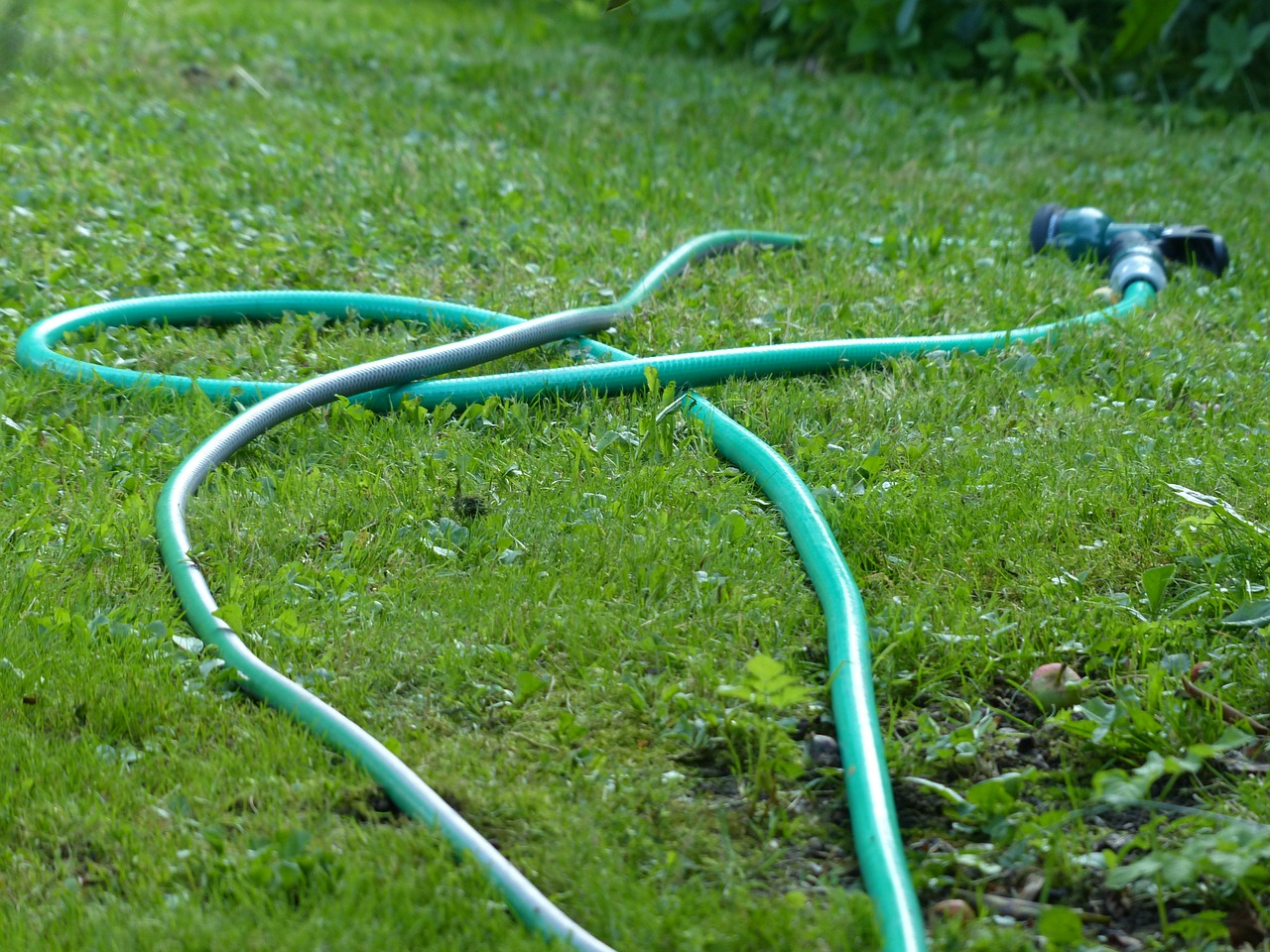 garden meadow garden hose free photo