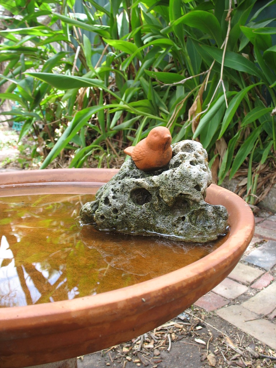 garden ornamental birdbath free photo