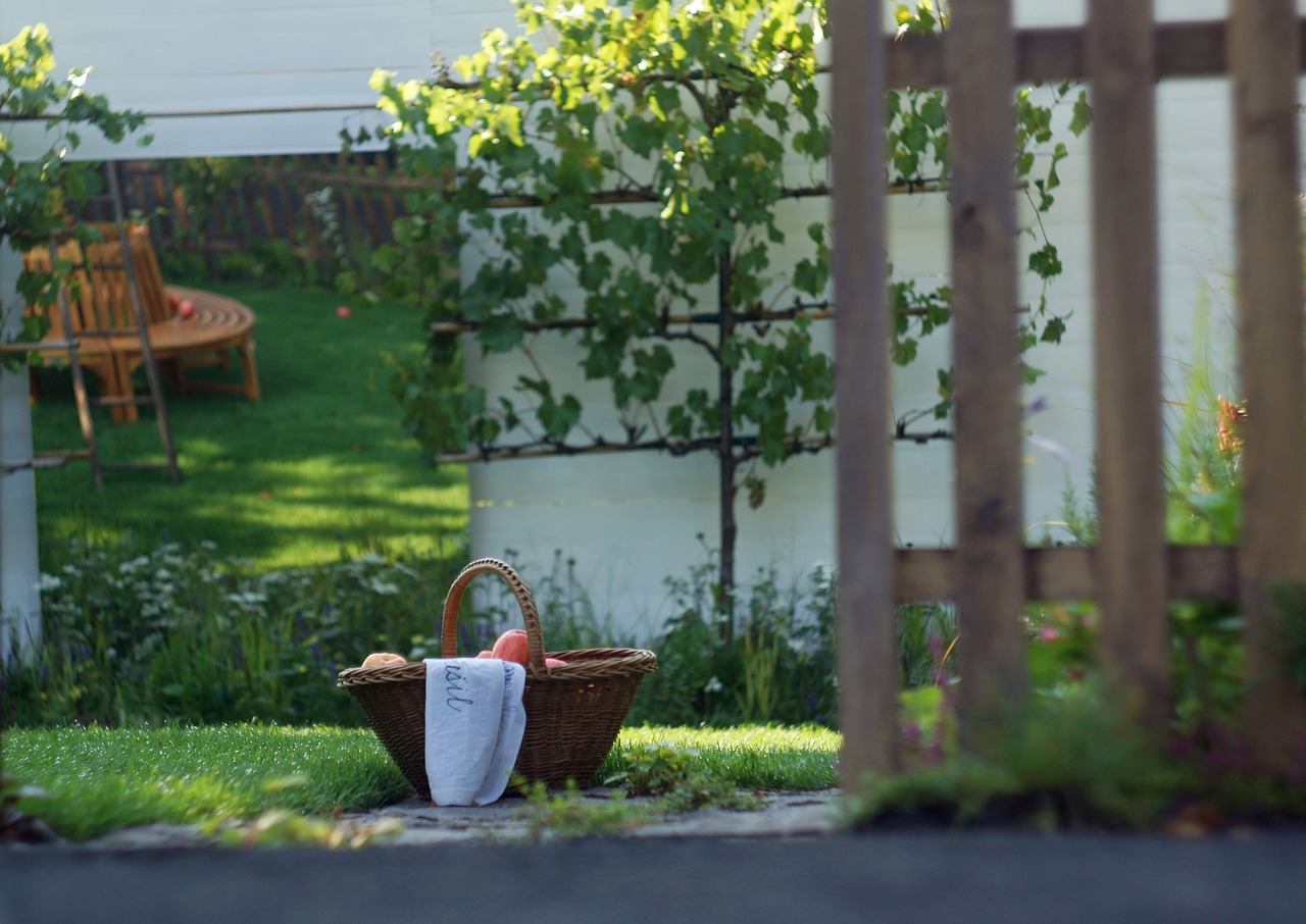 garden corner fruit free photo