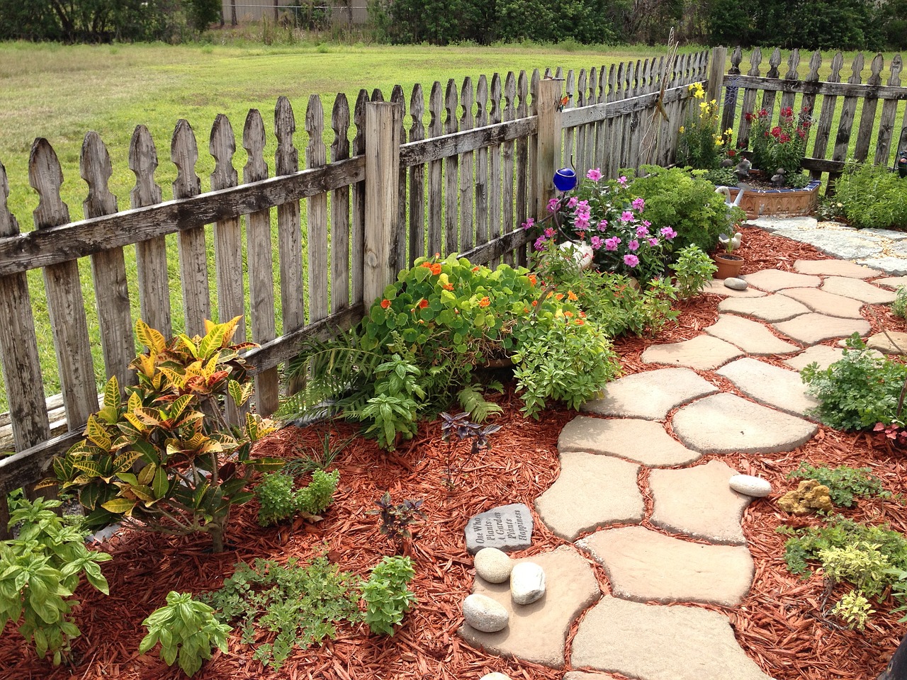 garden path herb free photo