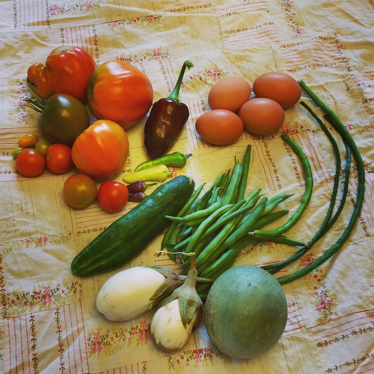 garden vegetables heirloom free photo