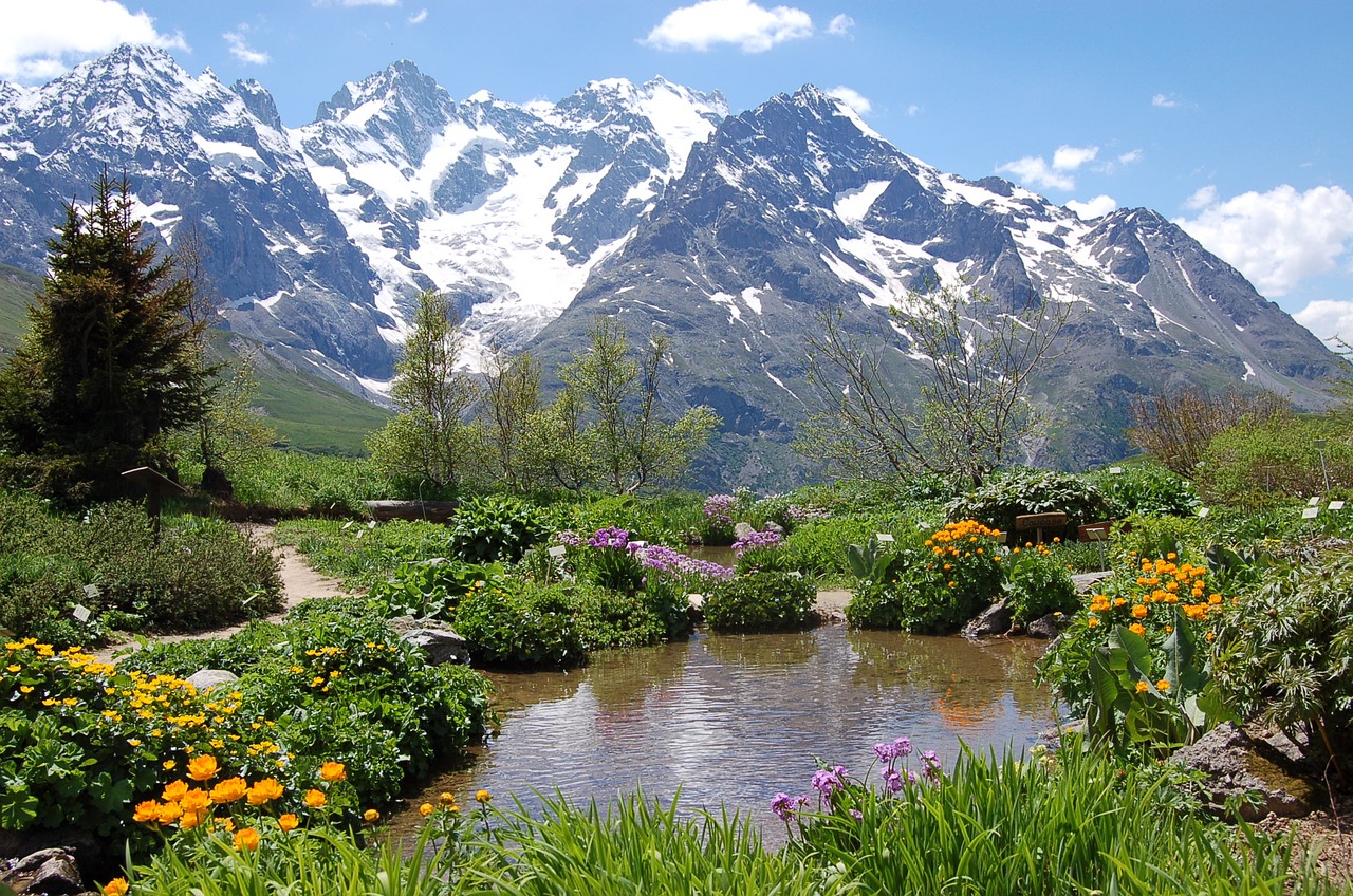 hautes alpes cervical lautaret garden free photo