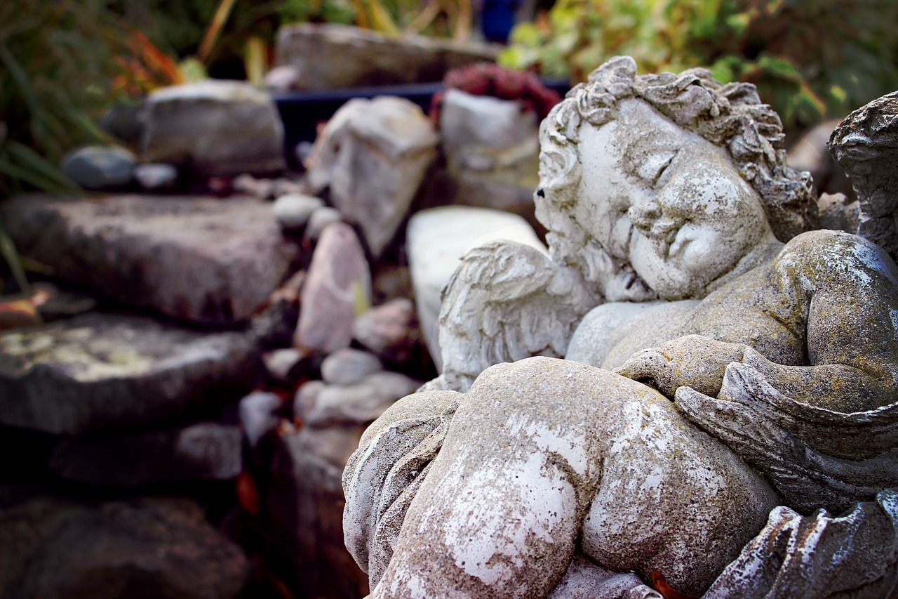 garden angel sleeping free photo