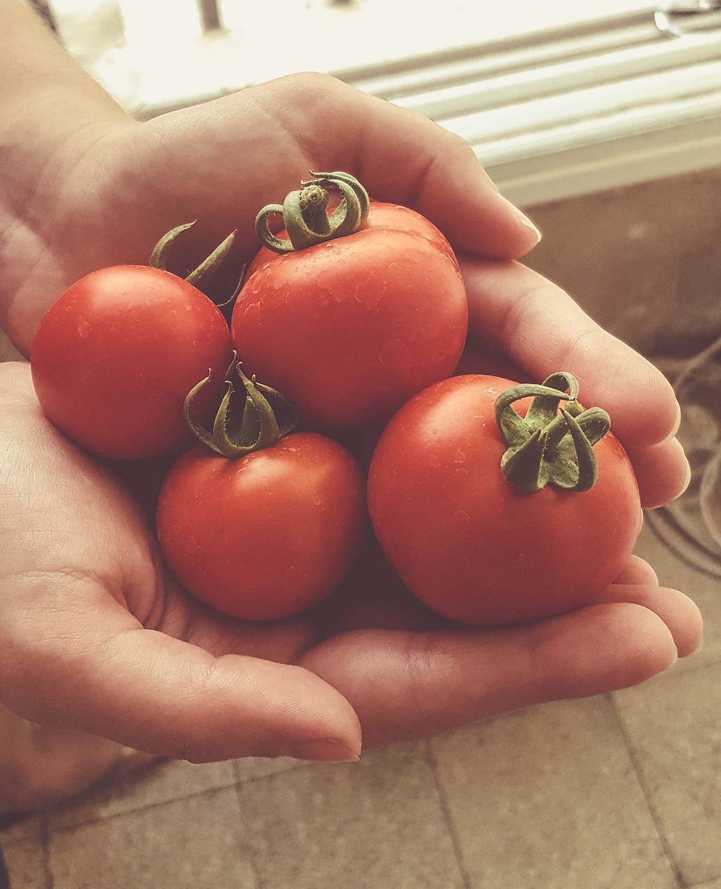 garden hands red free photo