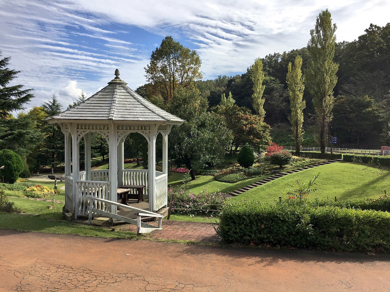 garden lawn metasequoia free photo