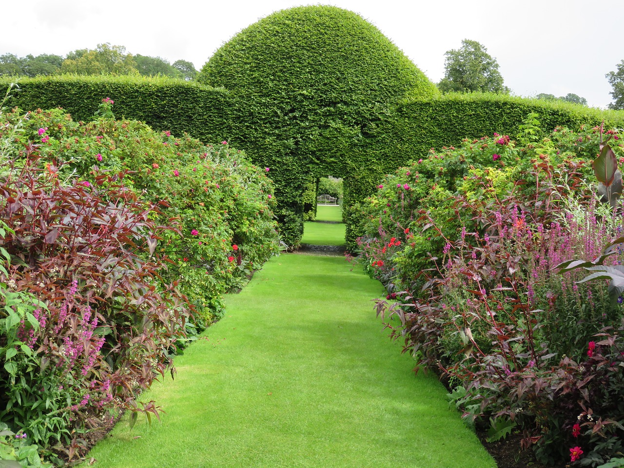 garden topiary green free photo