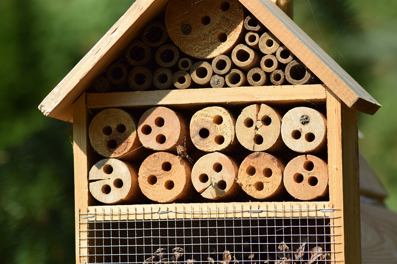 garden insect house hotbed free photo