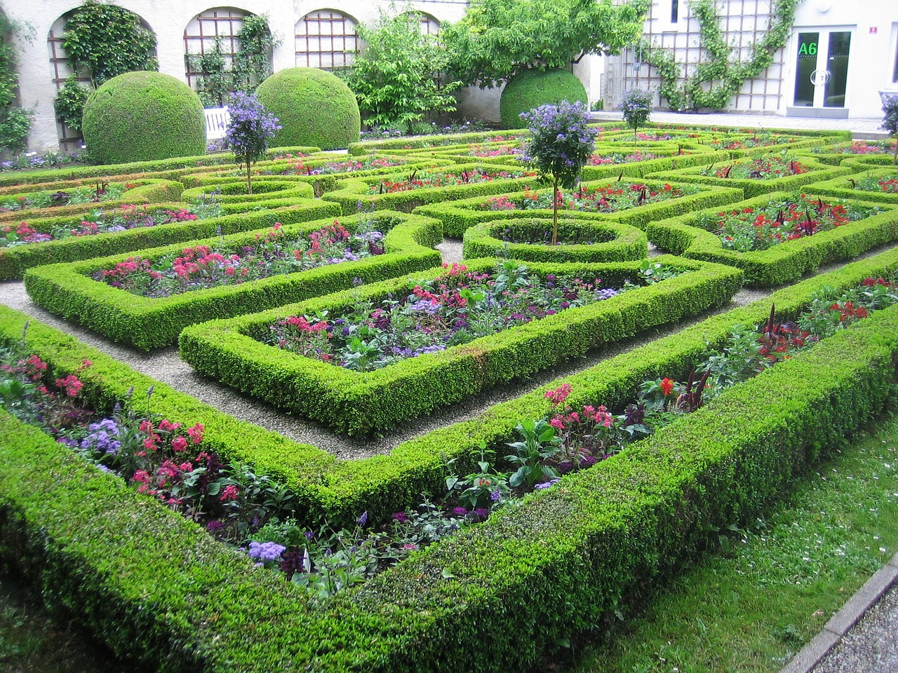 garden labyrinth hedges free photo