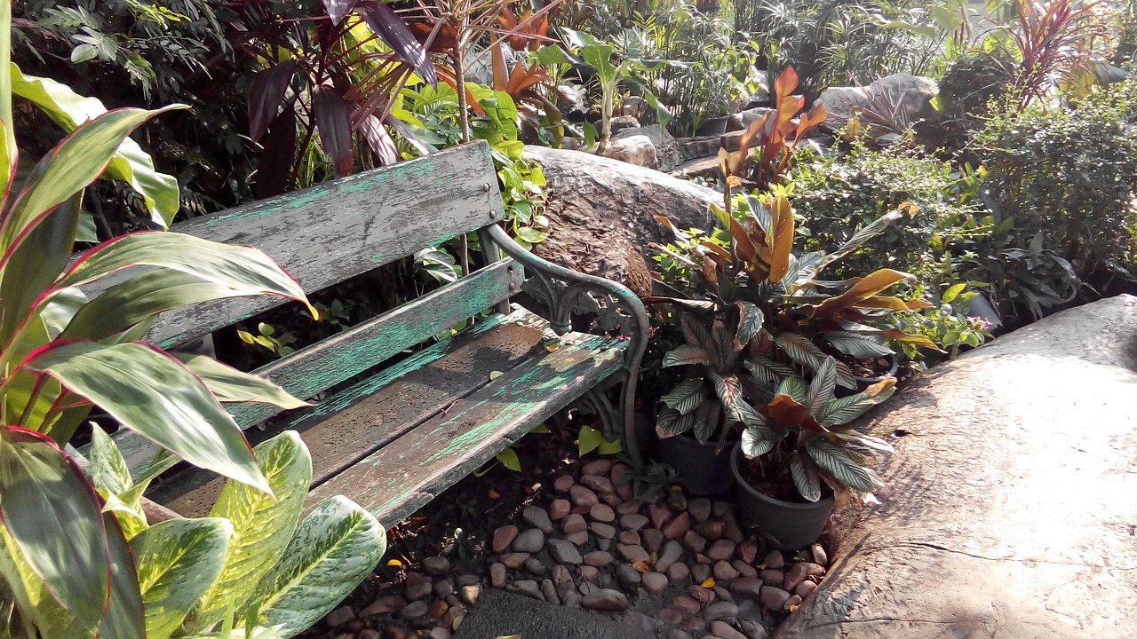 garden bench relax free photo