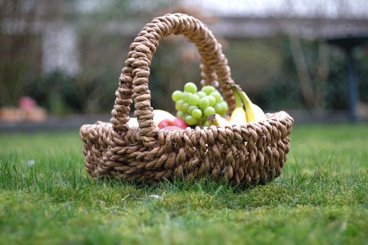 garden apple fruit free photo