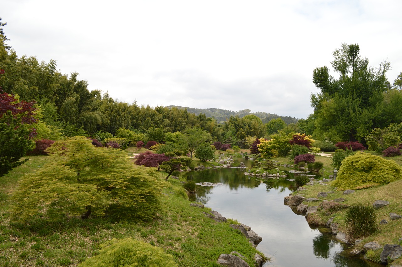 garden tree nature free photo