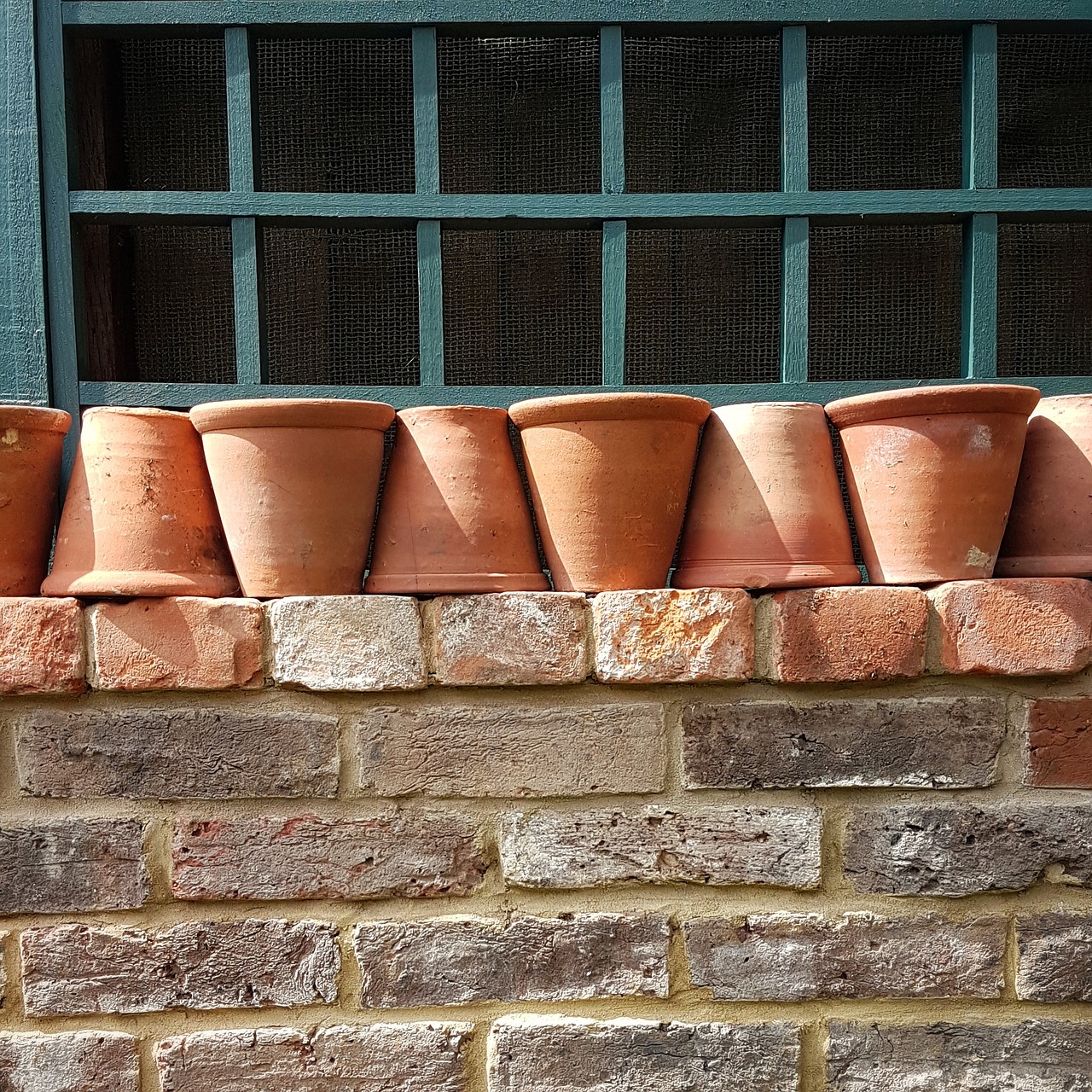 garden wall pots free photo