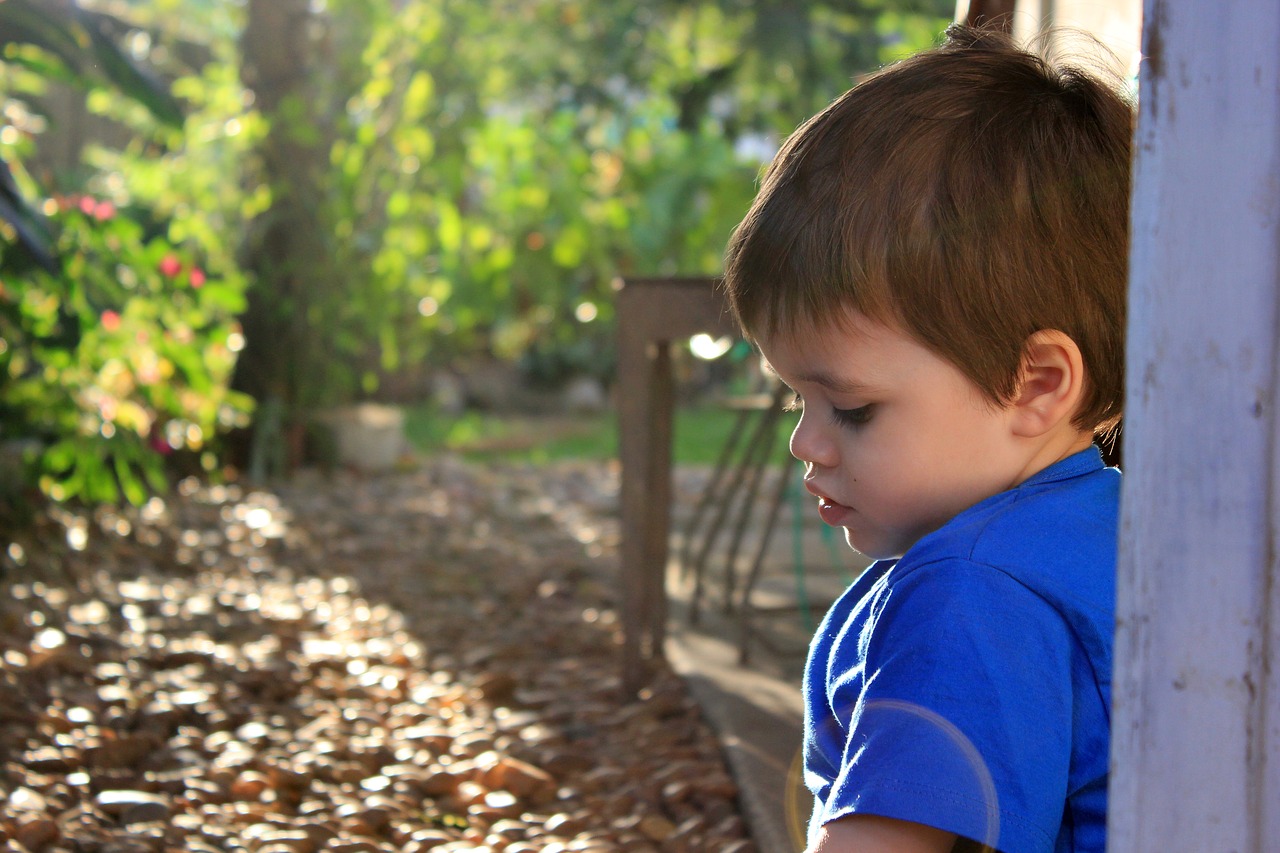 garden eventide child free photo