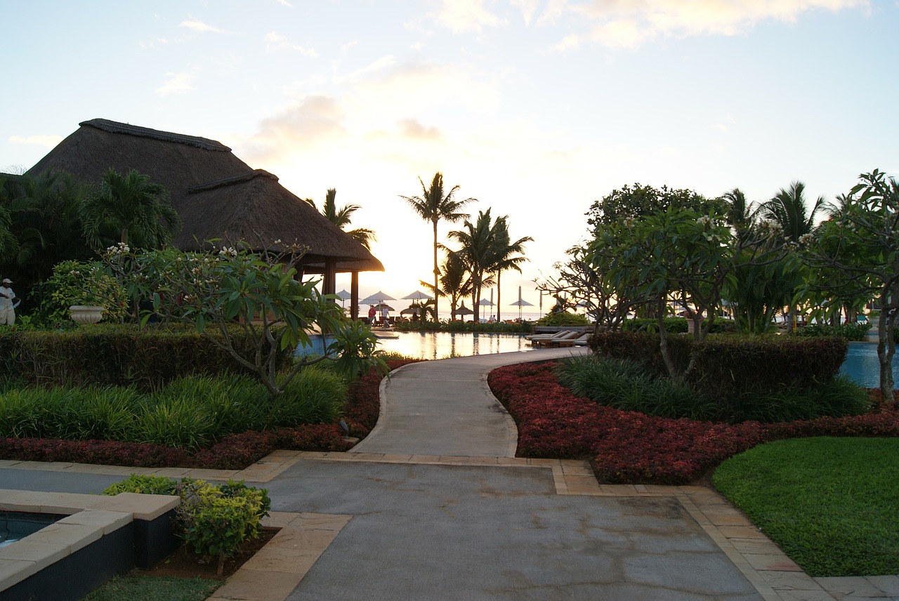 garden pool sunset free photo