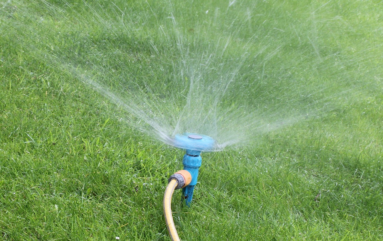 garden sprinkler hose free photo