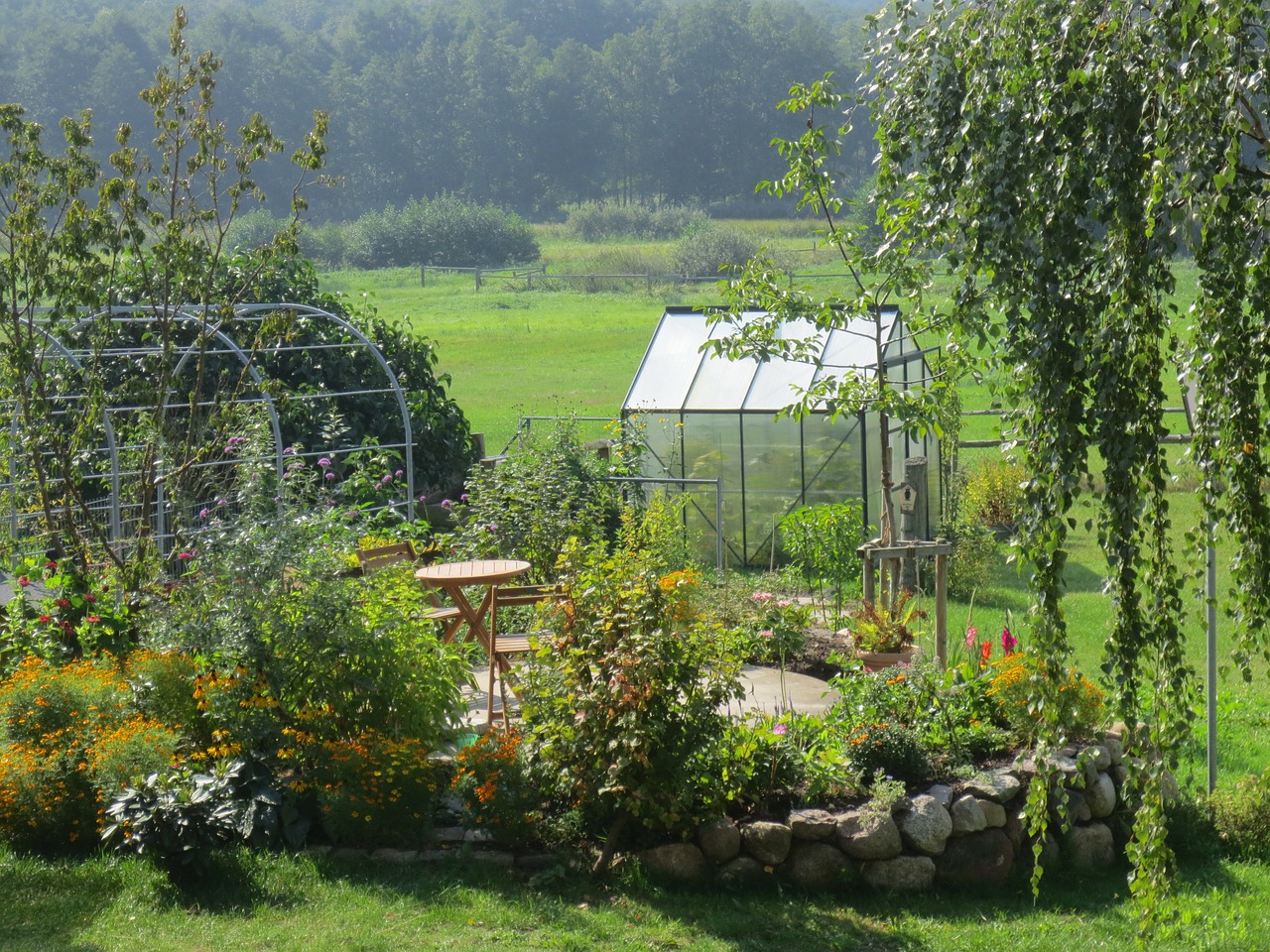 garden greenhouse allotment free photo