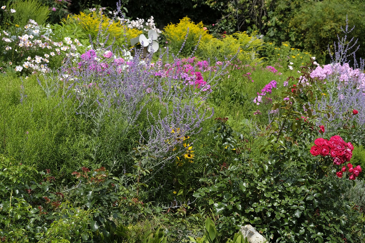 garden flowers blossom free photo