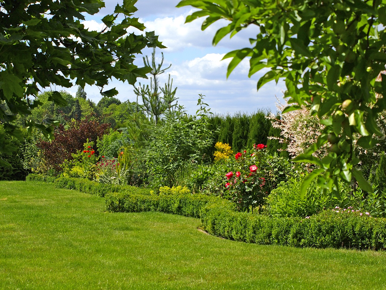 garden hedge rush free photo