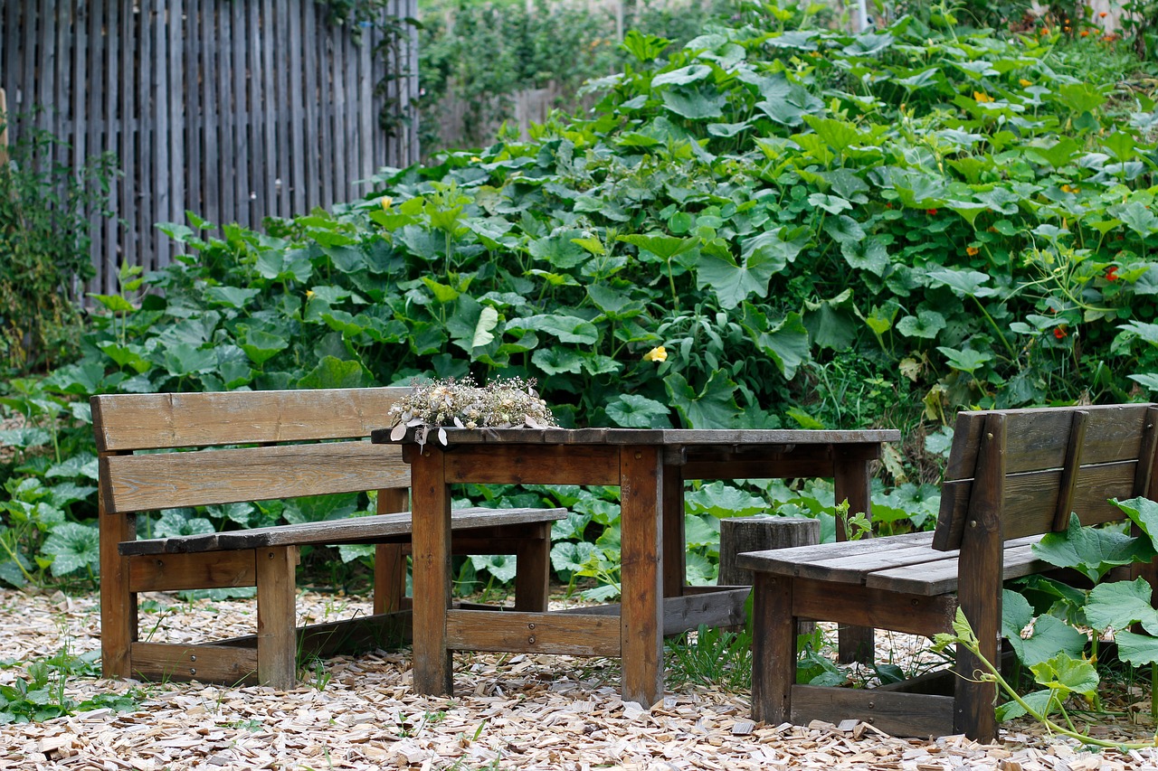 garden garden bench green free photo