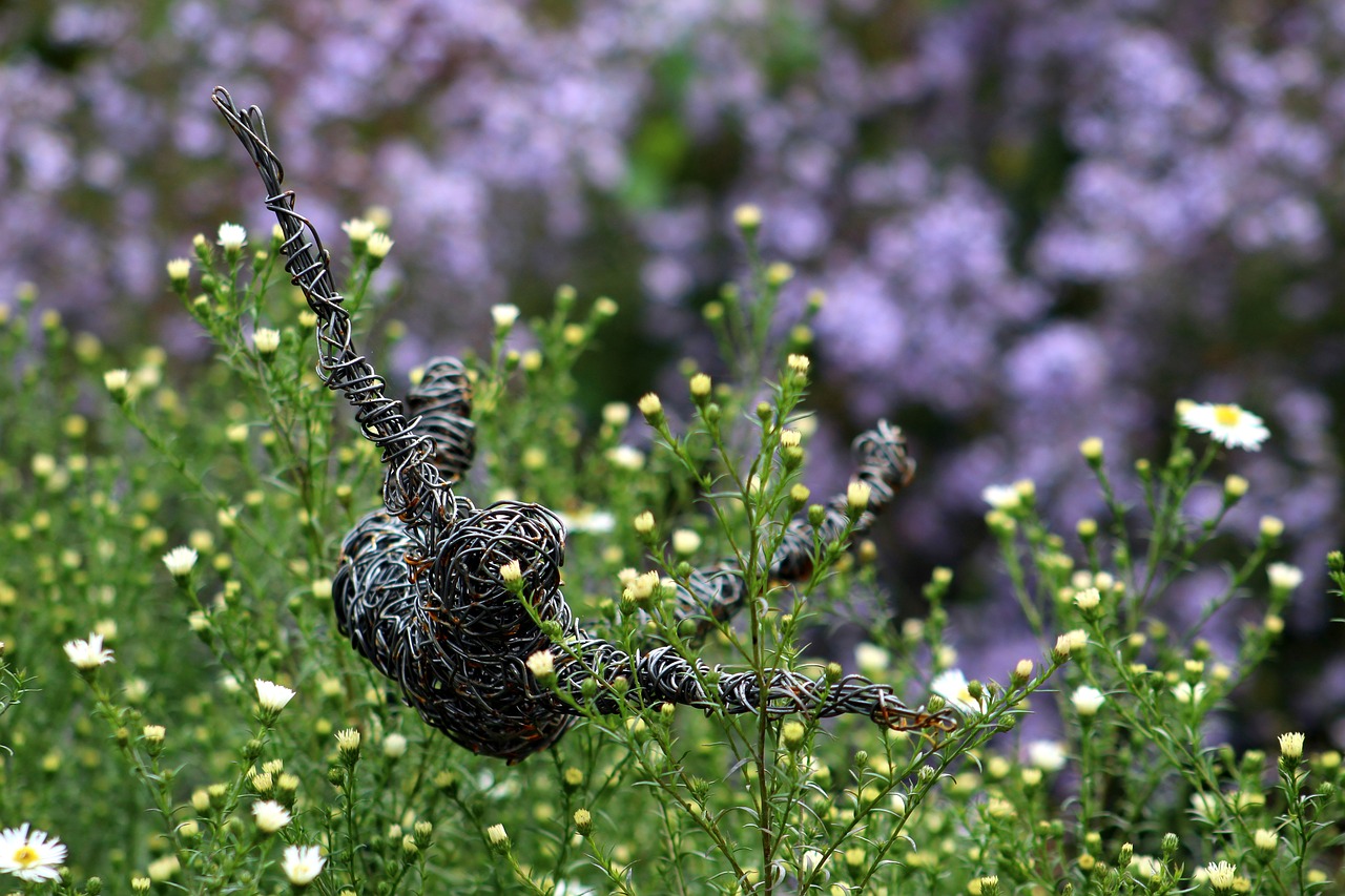 garden sculpture flying free photo