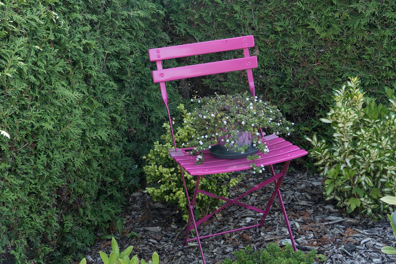 garden chair still life free photo