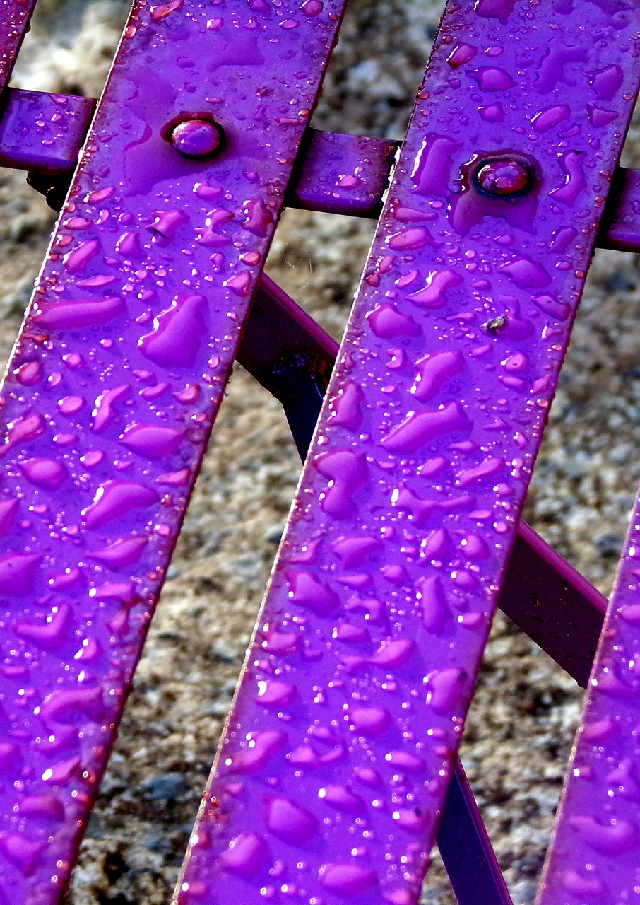 garden  chair  rain free photo