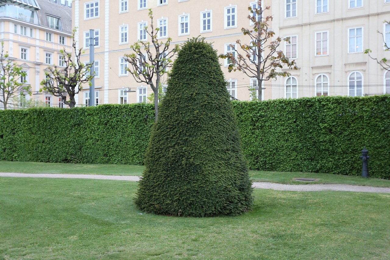 garden  lawn  summer free photo