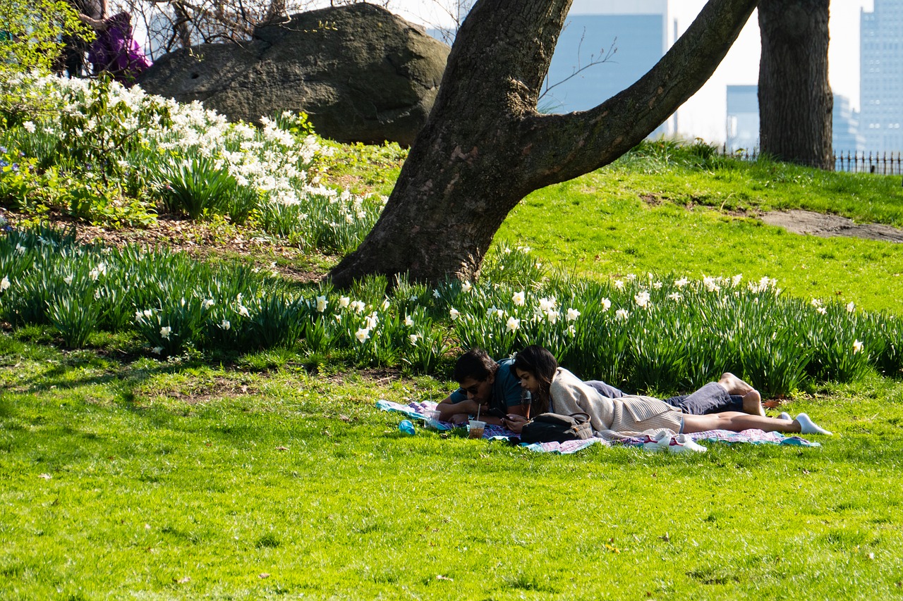 garden  relaxation  couple free photo