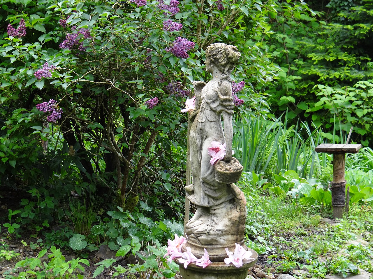 garden spring figure free photo