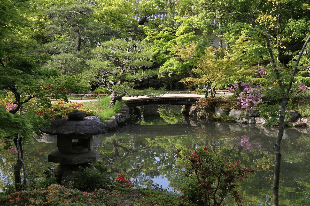 garden  japanese  reflection free photo