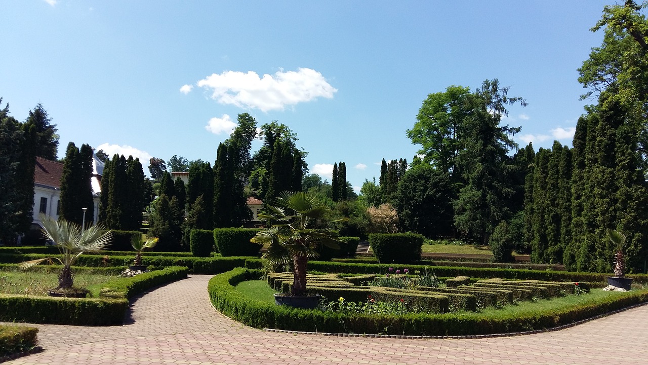 garden  always green  background free photo