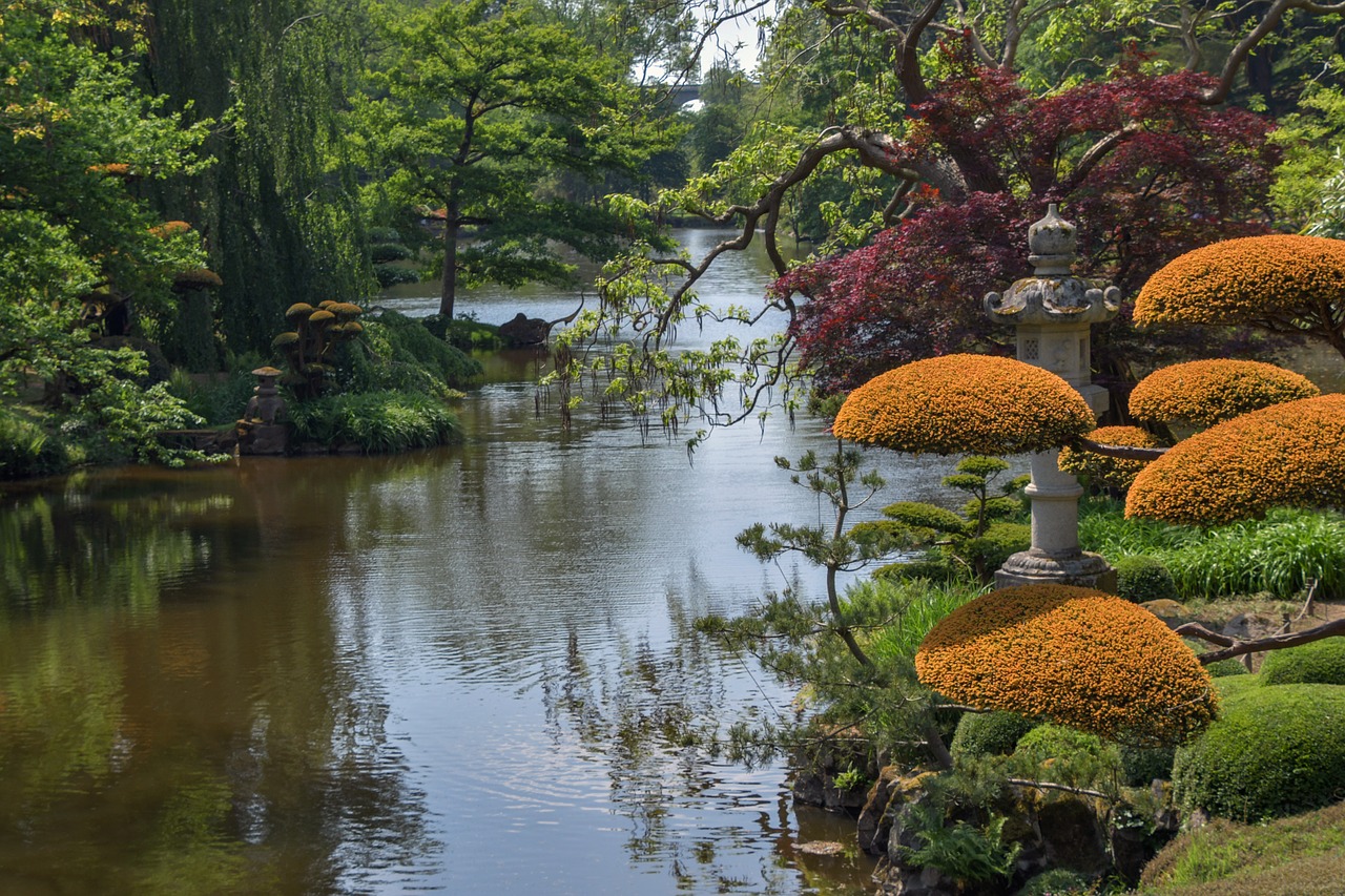 garden  oriental  botany free photo