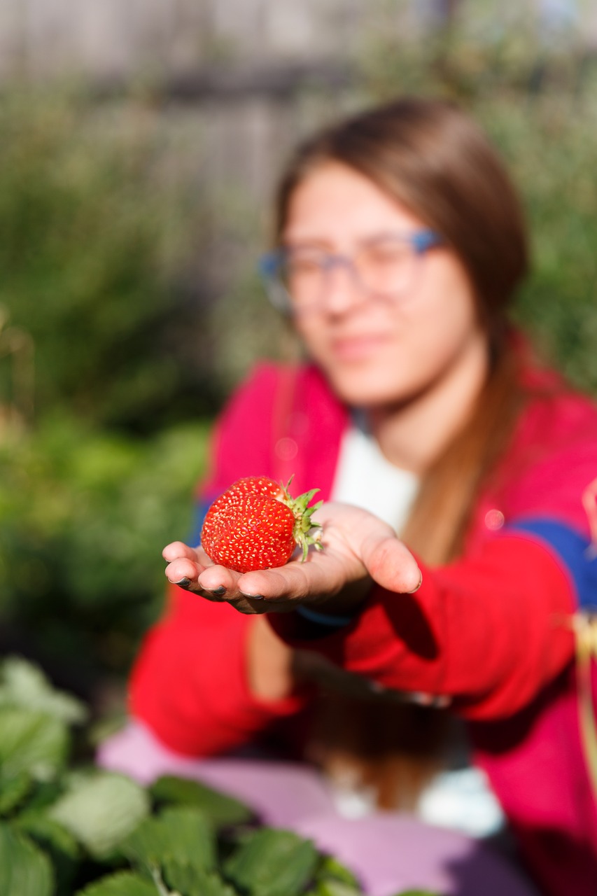 garden  vegetable garden  harvest free photo