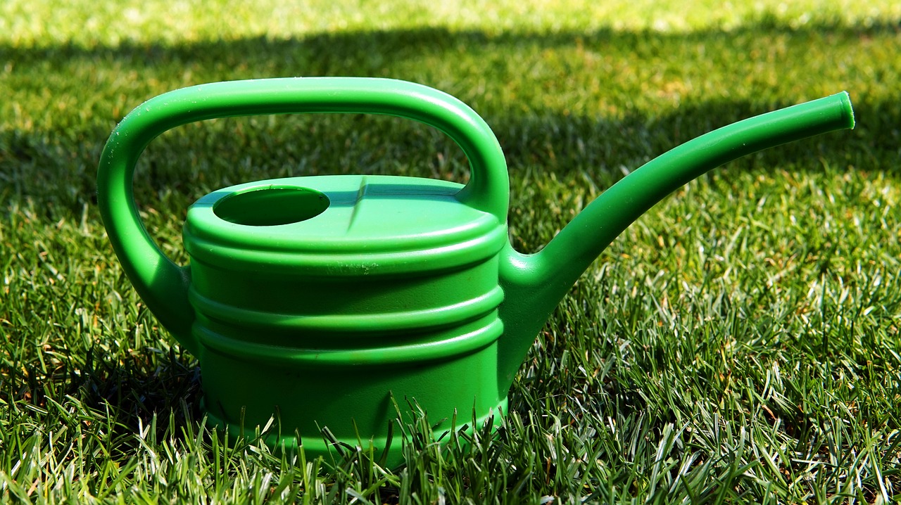 garden  casting  watering can free photo