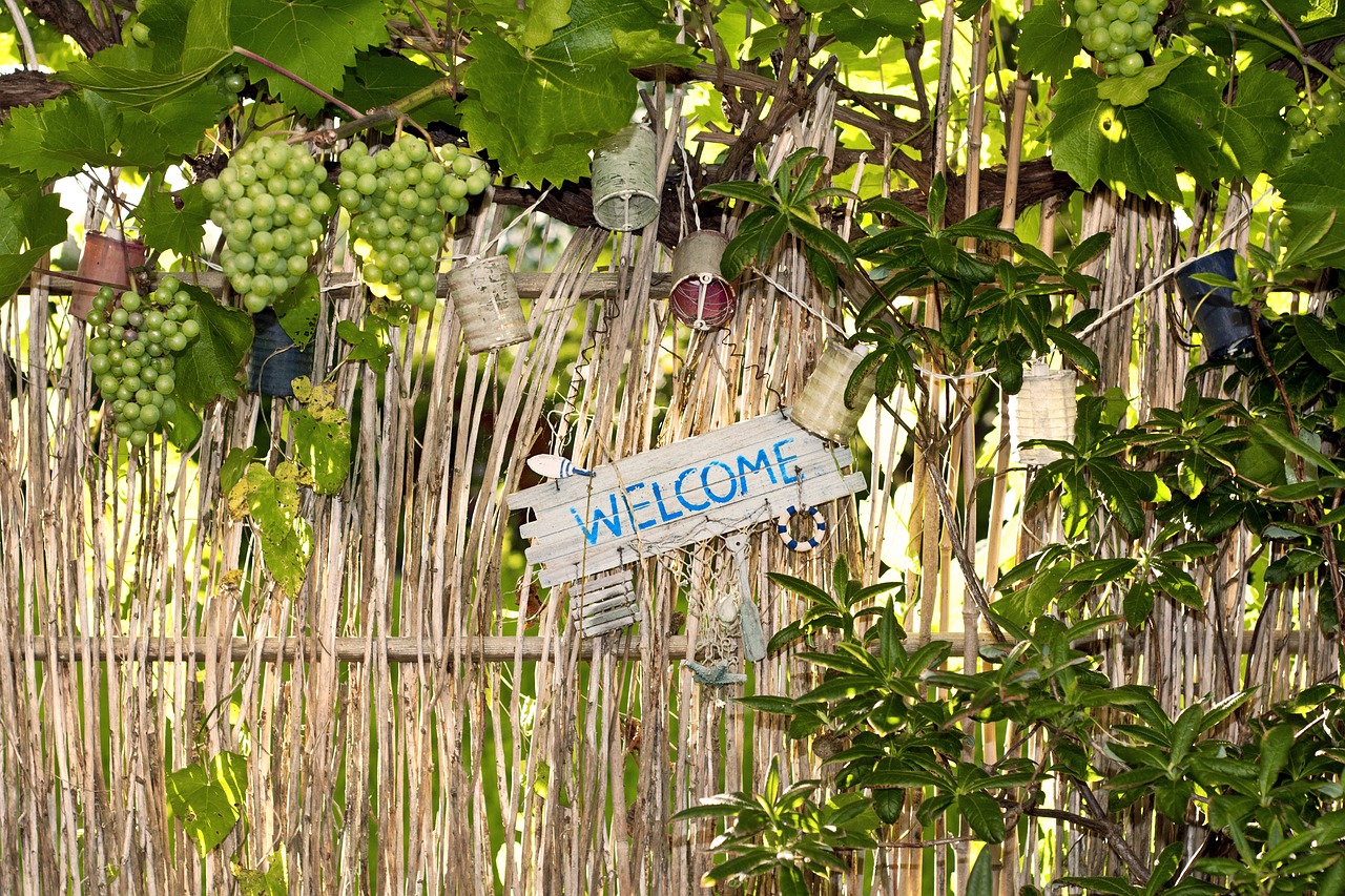 garden  welcome  grapes free photo